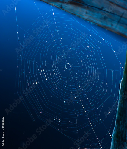 Spider Web on a Pier