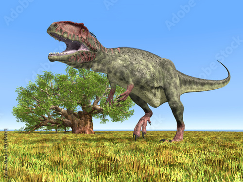Dinosaurier Giganotosaurus