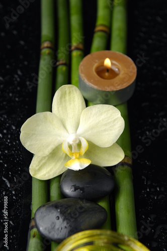 orchid and bamboo grove ,zen stone ,candle,on wet