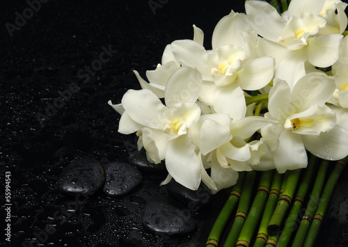 still life with branch white orchid with stones