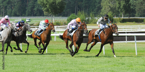 course hippique