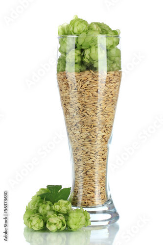 Glass of fresh green hops and barley, isolated on white