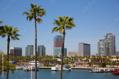 Long Beach California skyline from palm trees of port