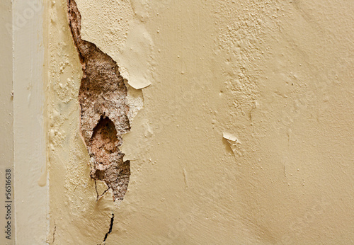 Dry rot in interior wall