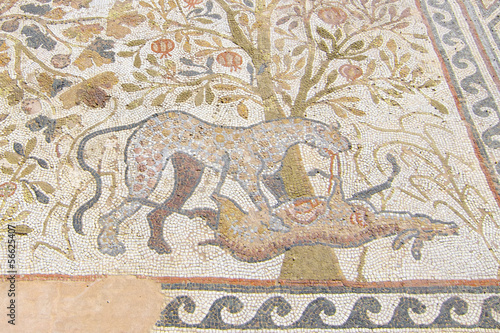 Mosaic Of Heraclea Lyncestis In Bitola, Macedonia Republic