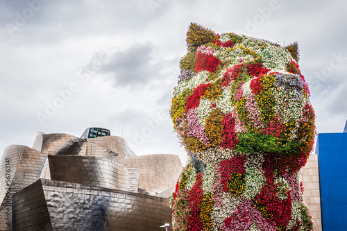 Floral dog in Bilbao