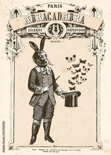 Le lapin magicien