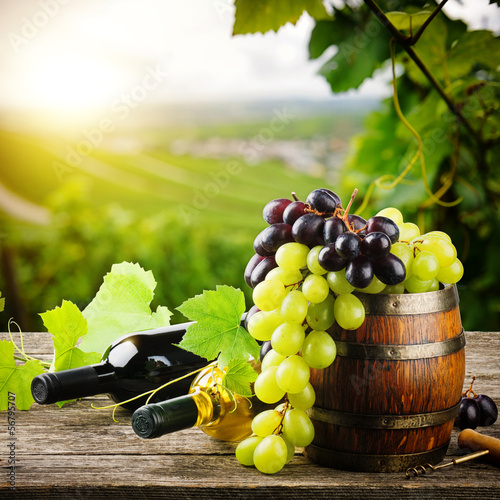 Butelki czerwonego i białego wina ze świeżych winogron