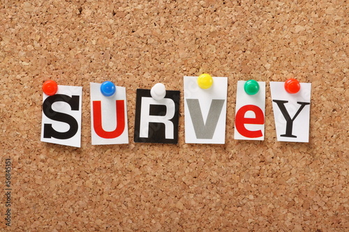 The word Survey on a cork notice board