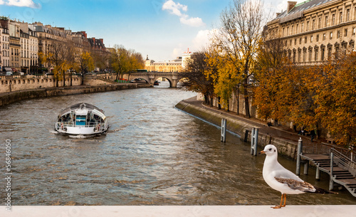 Autumn in Paris, cruise on river Seine