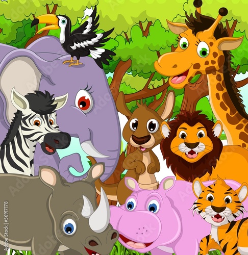 funny animals wildlife cartoon collection
