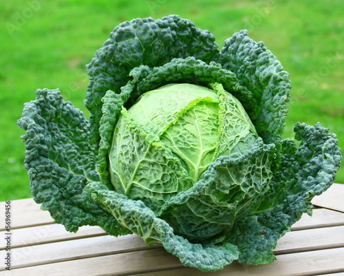 chou pomme vert frisé