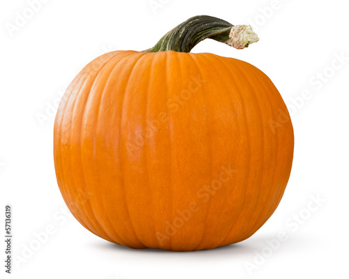 pumpkin on white background