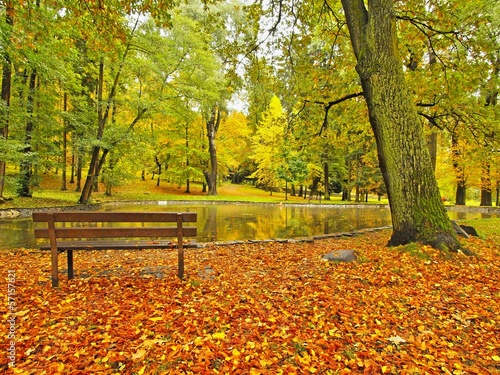 Abandoned wooden bench in autumn park.