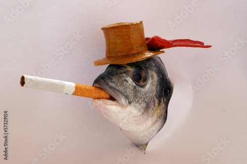 Pesce con cappello e sigaretta