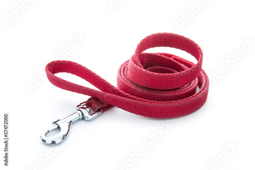 dog leash