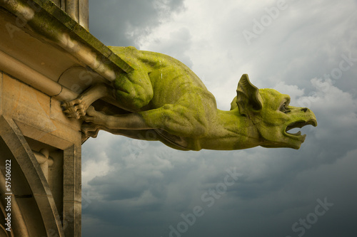 gargoyle on Ulm Munster church