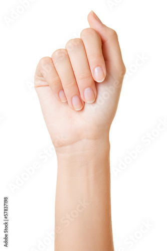 woman's hand on white background