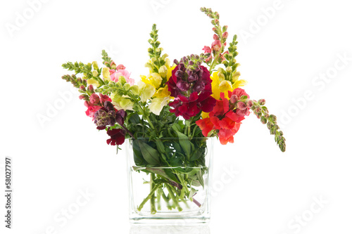 Dragon flowers in glass vase