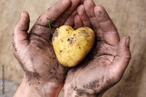 Aus liebe zur Landwirtschaft