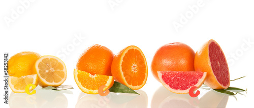 Lemon, orange and grapefruit in a section