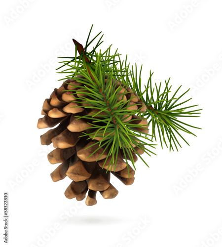 Pine cone with branch