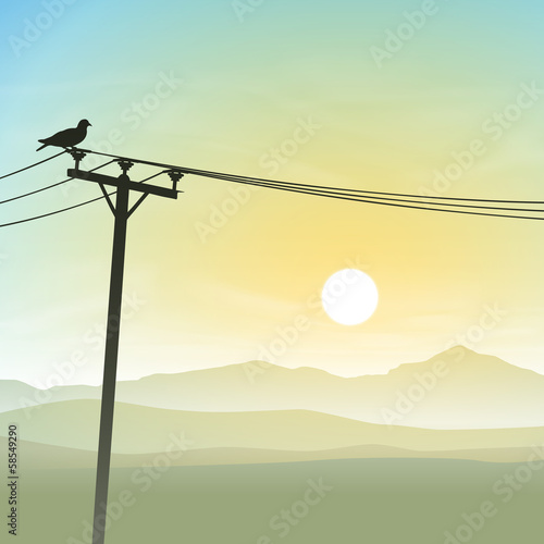 Bird on Telephone Lines