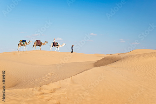 Méharée dans le Grand Erg Oriental - Tunisie