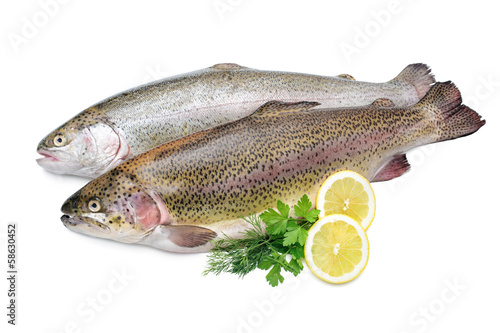 Rainbow trout with fresh herbs isolated on white background