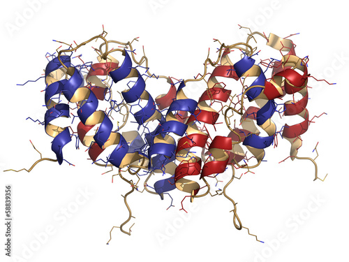 Interferon gamma (IFNg) cytokine molecule, chemical structure
