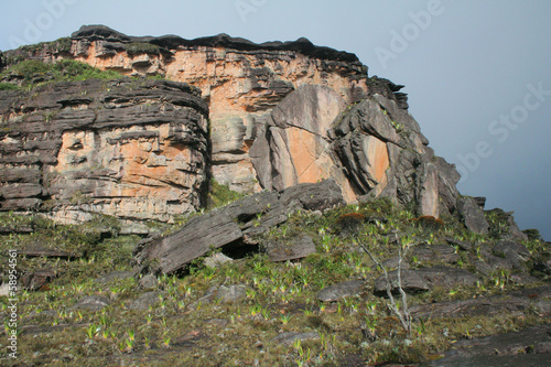 Roraima