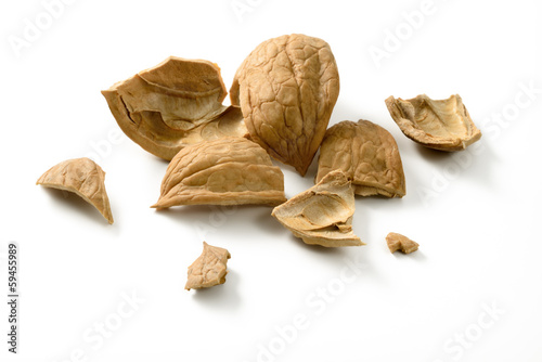 Broken shell of walnut