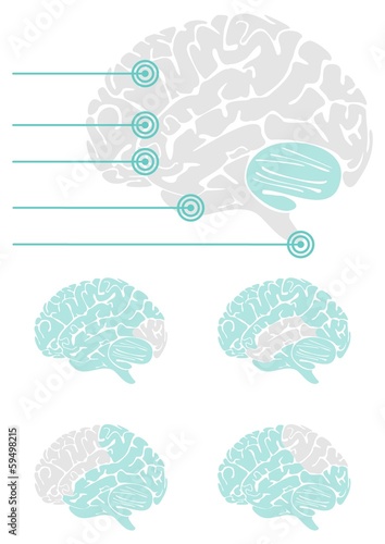mózg widok z boku schemat elementy infograficzne