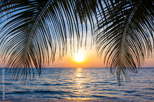 Beautiful tropical sunset with palm trees. Tropical beach. palm