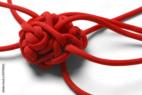 Knot Tangle