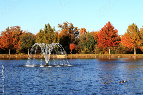 Autumn by the Pond