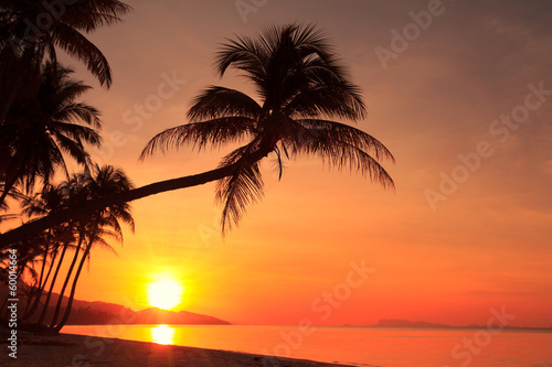 Sunset on tropical island