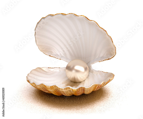 shell pearl