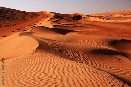 Sandy desert Wahiba in Oman, Near East