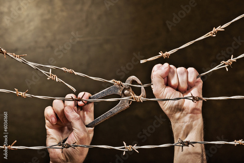 barbed wire with hands