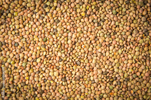 Lentils