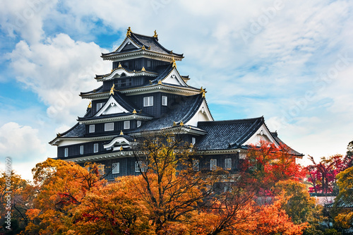 Okayama Castle in Japan