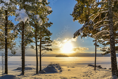 Beautiful winter picture of a lake with pine trees in the foregr