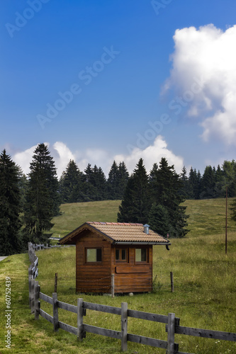 Small Hut in the Italian Alps in Summer