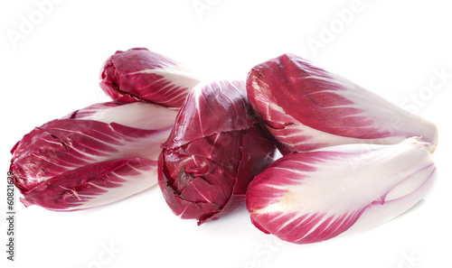 chicory carmine