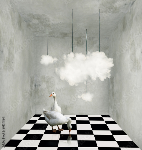 Clouds and ducks in a surreal room