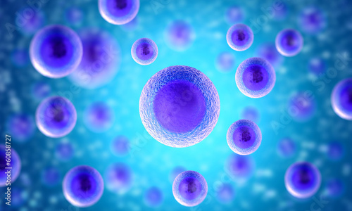 illustration of human cells