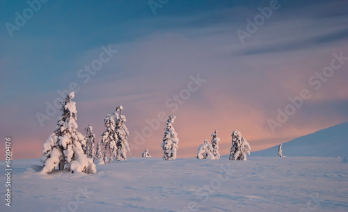 winter tundra at sunrise