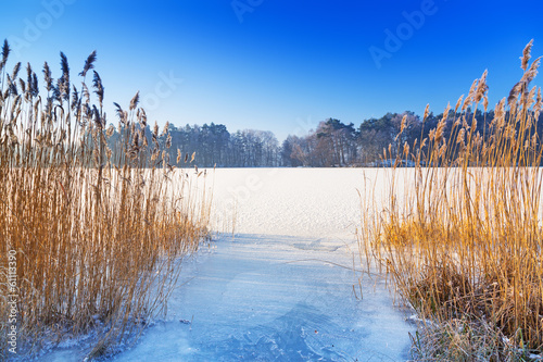 Winter scenery of frozen lake in Poland