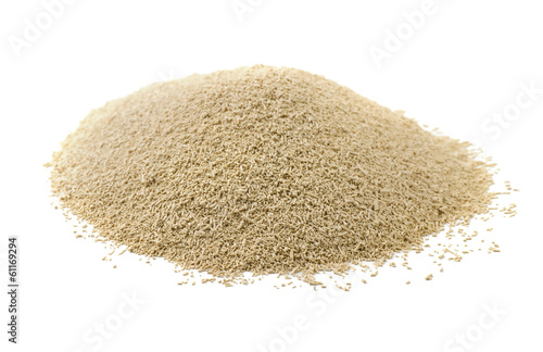 Dry yeast